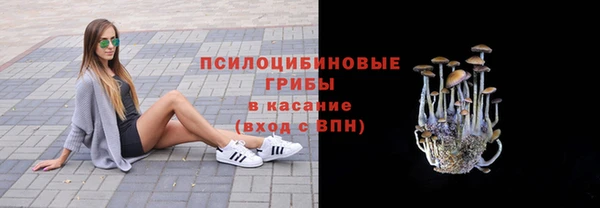 Альфа ПВП Белокуриха